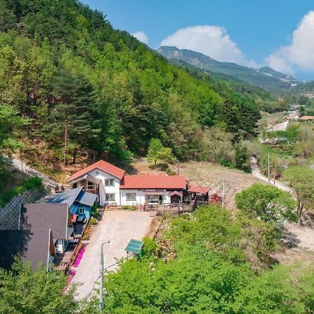 Samcheok Deulre Pension Exterior photo